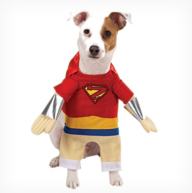 To Costume or Not to Costume Â« Daily Paws