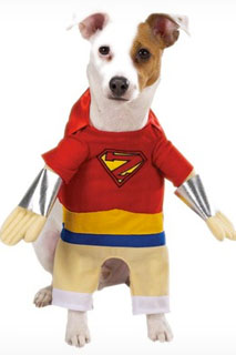 VetLocator.com Daily Paws - To Costume or Not to Costume - Cute Pets in ...